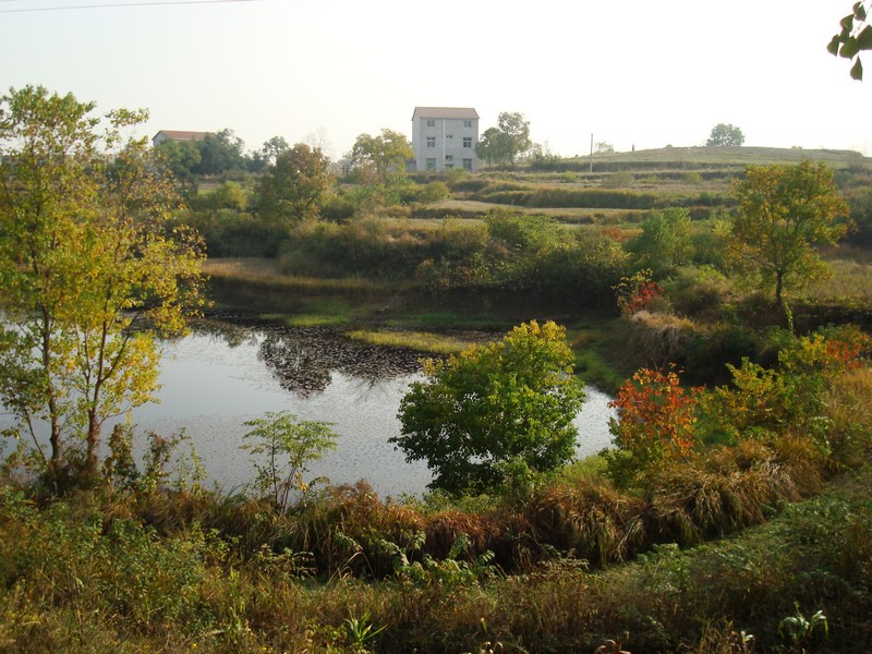 neo_img_dsc04388.jpg