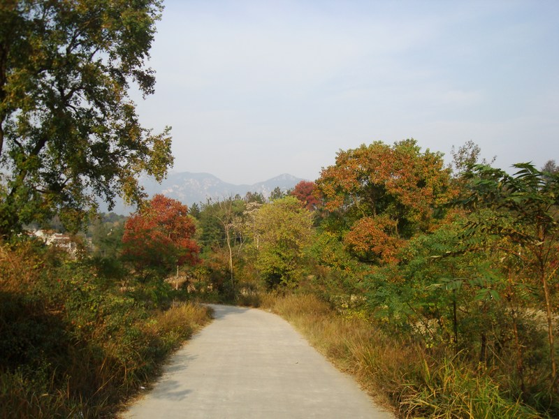 neo_img_dsc04387.jpg