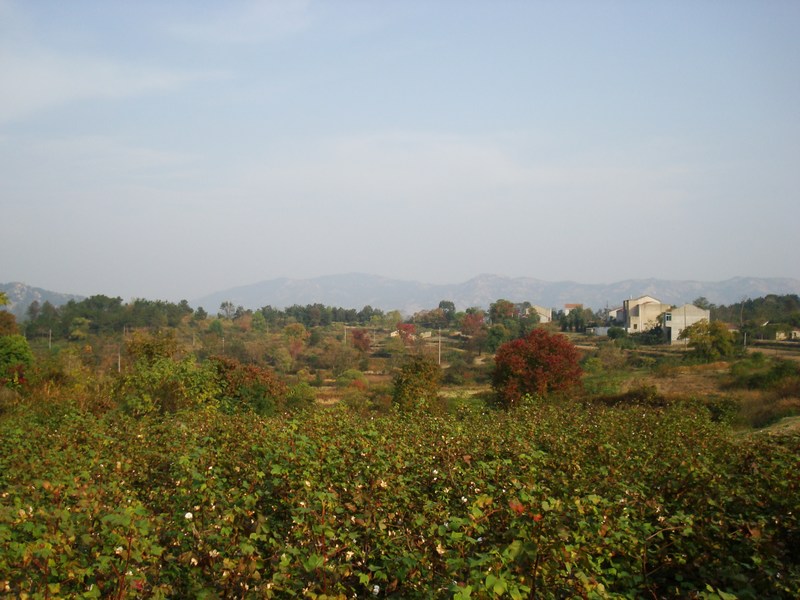 neo_img_dsc04392.jpg