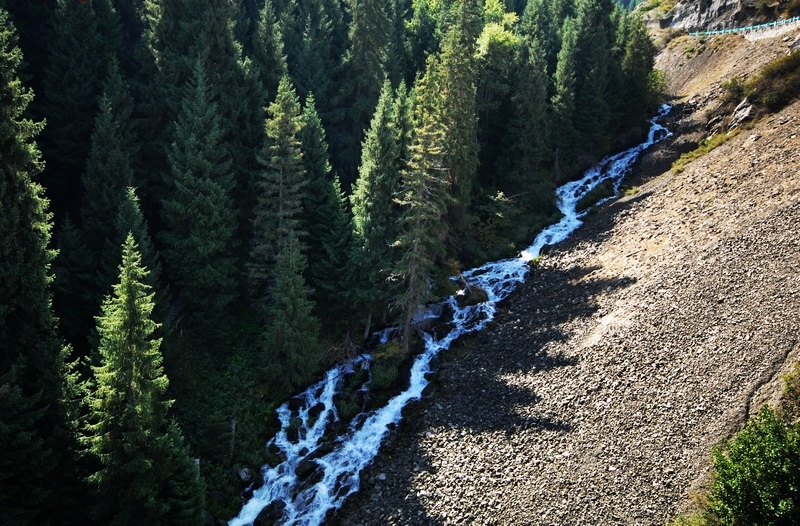 neo_img_dsc_8254.jpg