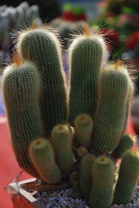 02071606.jpg