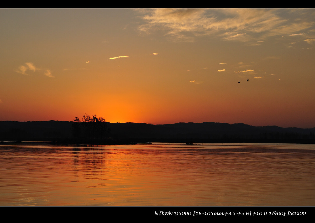 dsc_0960.jpg