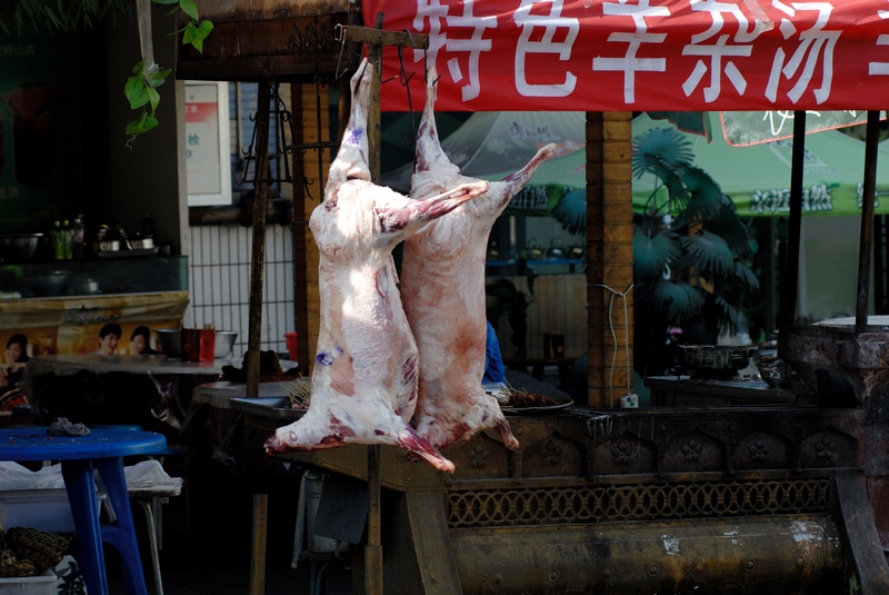 neo_img_dsc_8562001.jpg