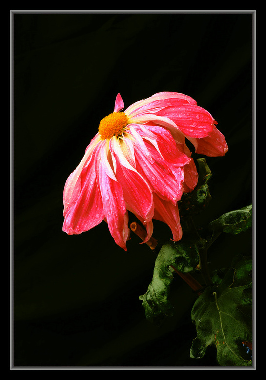 img_6717_1.jpg