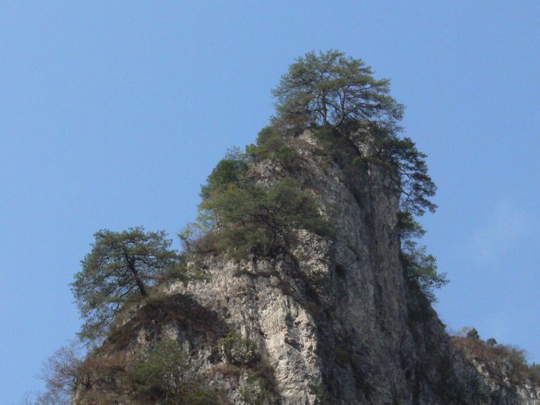 p1110467.jpg