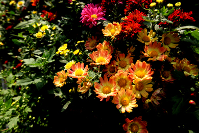 Ƭ 283-1.jpg