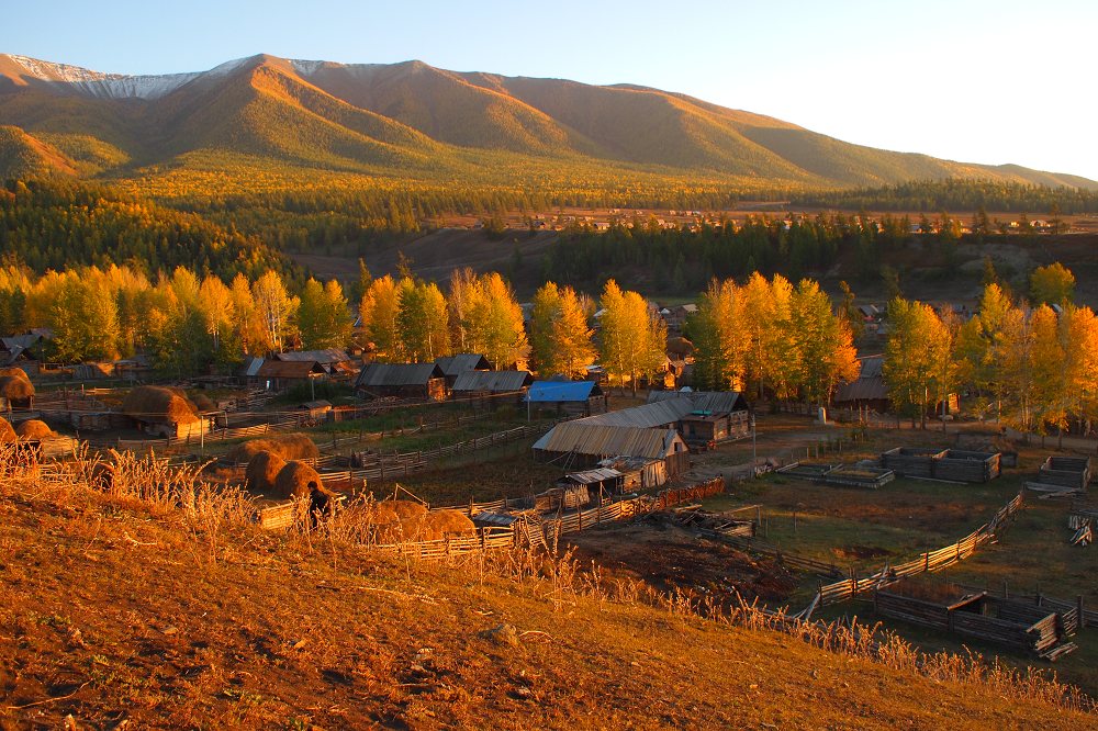 k1213118.jpg