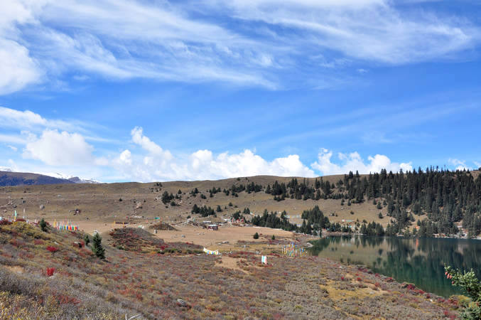dsc_0093.jpg