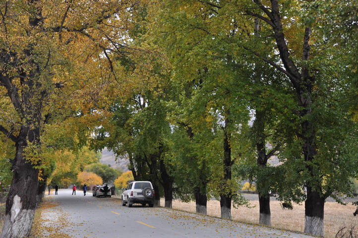 dsc_0130.jpg