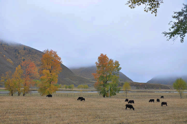 dsc_0135.jpg