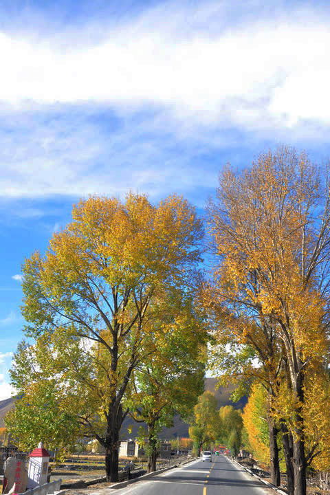 dsc_0084.jpg