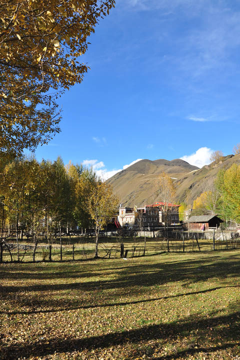 dsc_0099.jpg