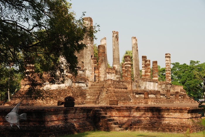 02091540.jpg