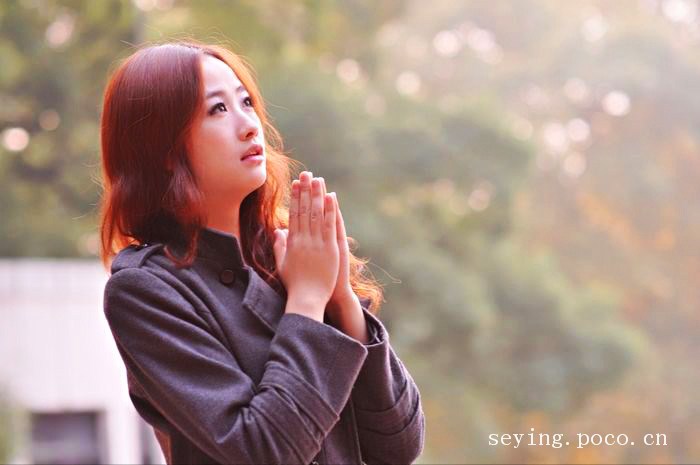 dsc_3379p_.jpg