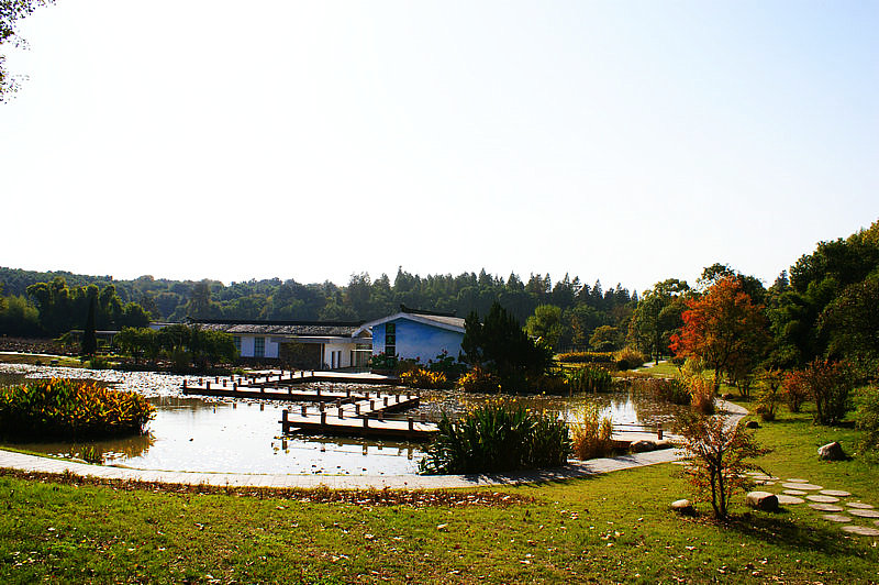 dsc03074.jpg