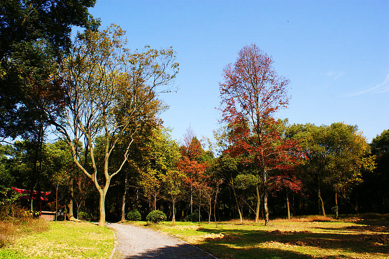 dsc03081.jpg