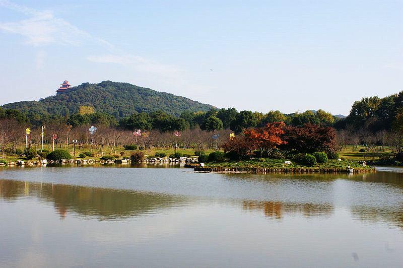 dsc03096.jpg