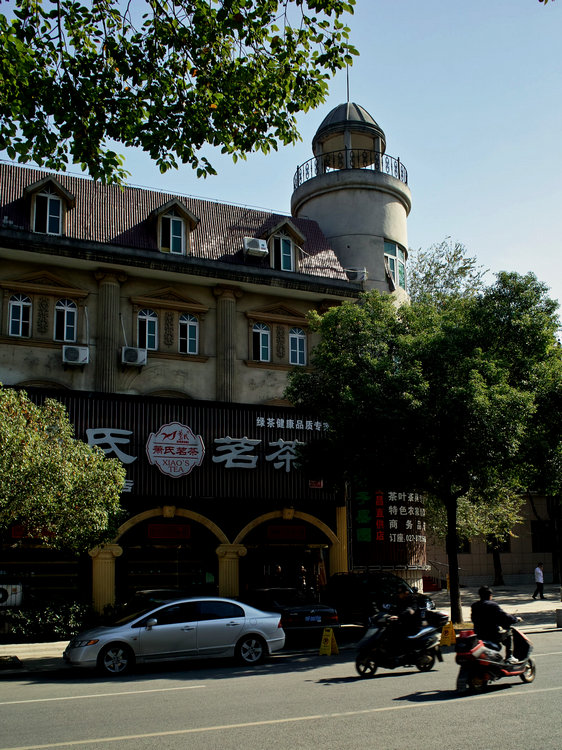 sdim0230.jpg