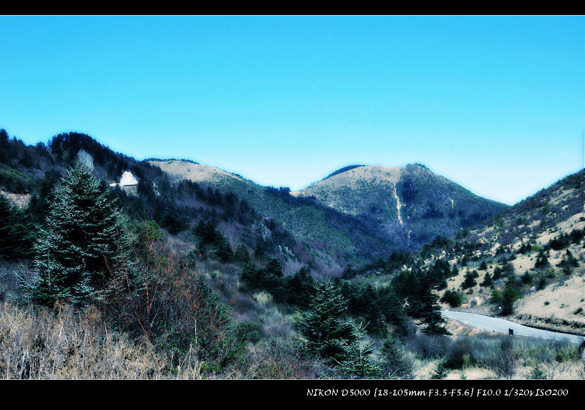 dsc_0182.jpg