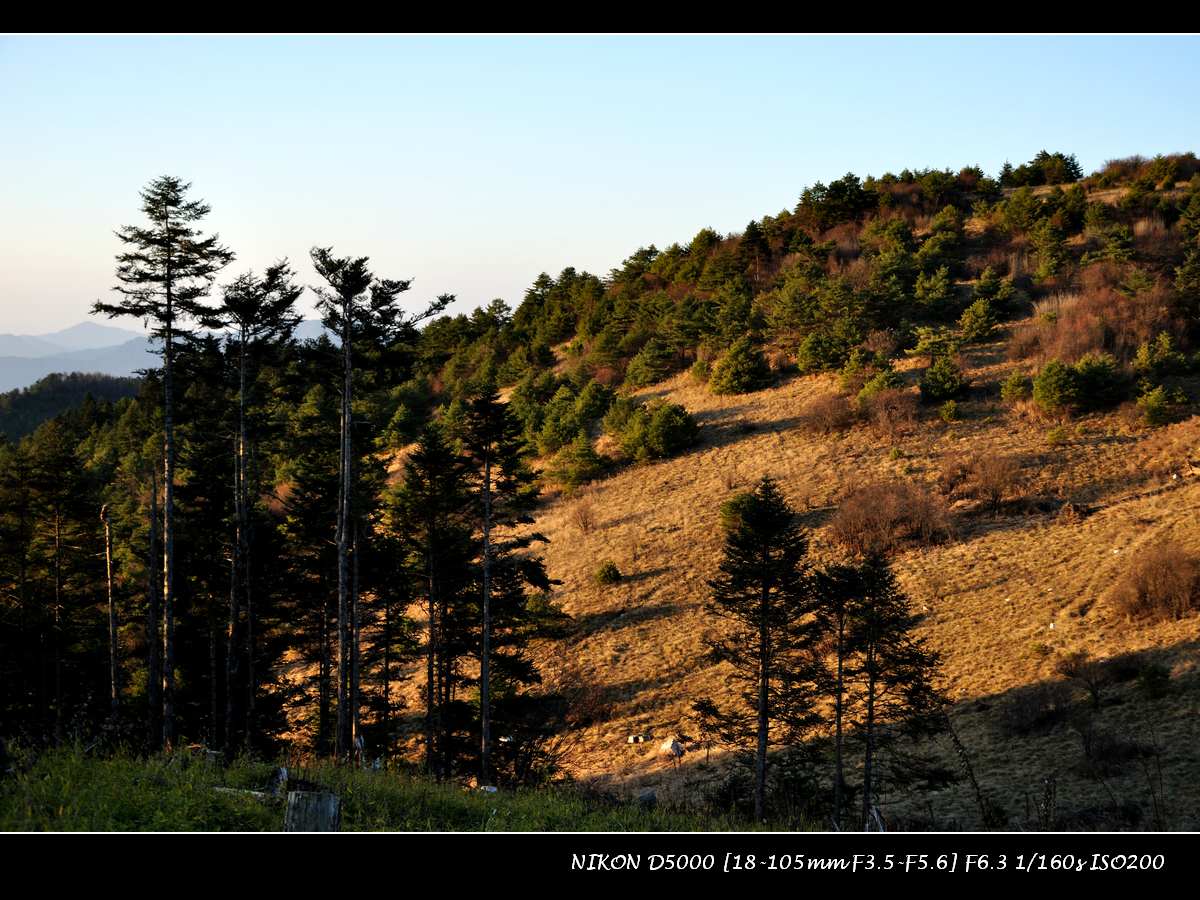 dsc_0032.jpg