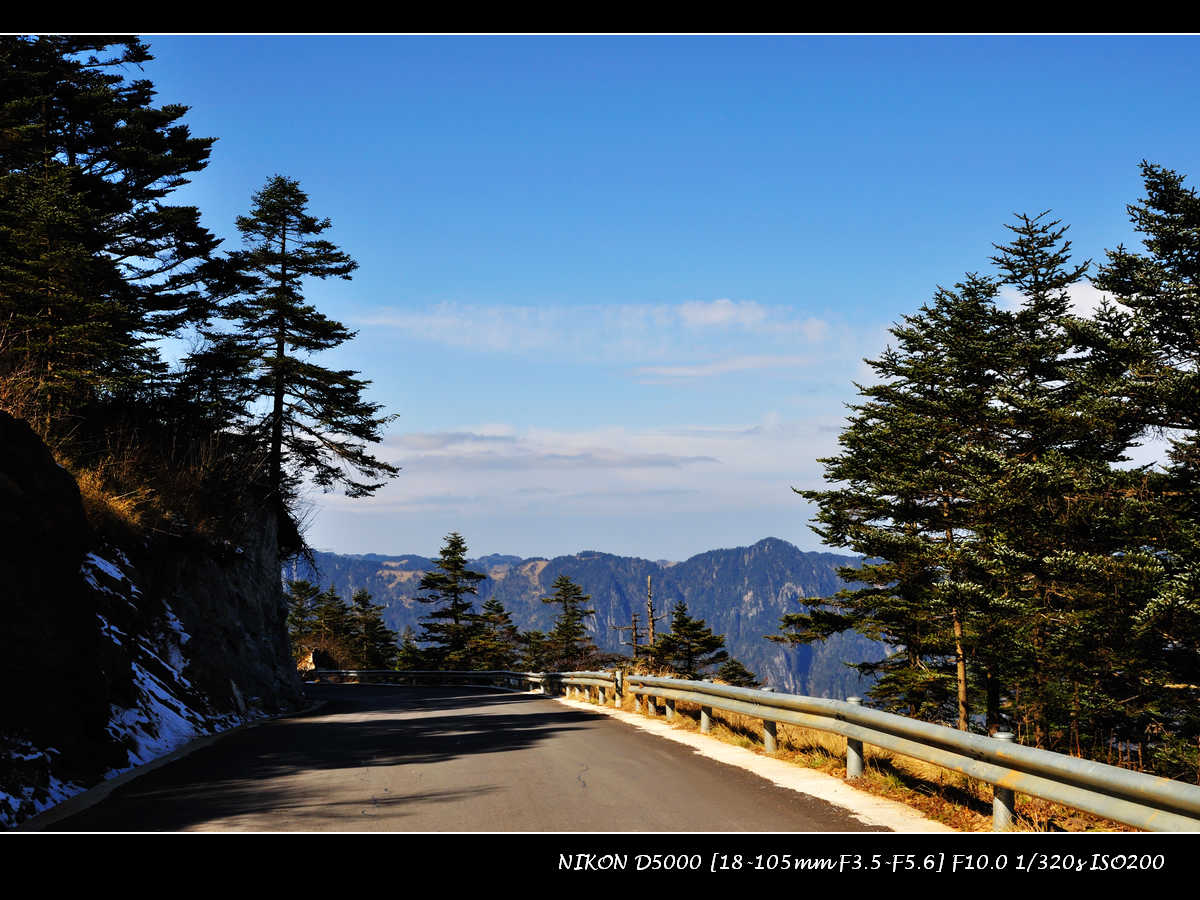dsc_0339.jpg