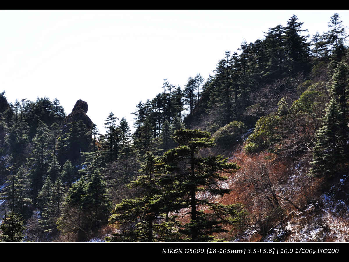 dsc_0300.jpg