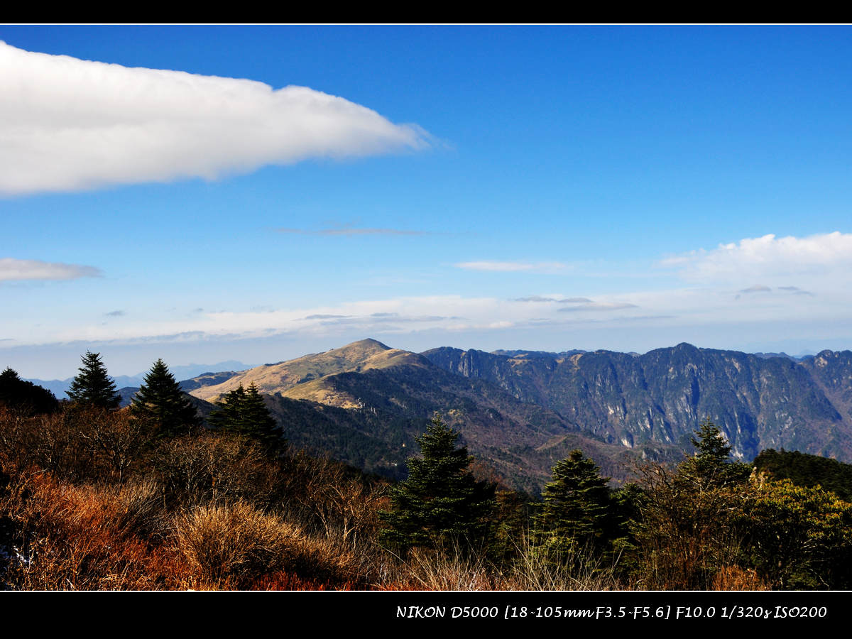 dsc_0332.jpg
