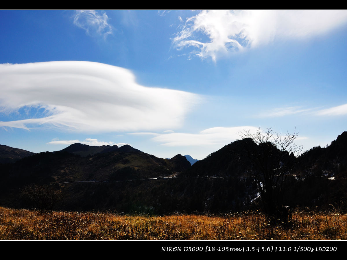 dsc_0308--.jpg