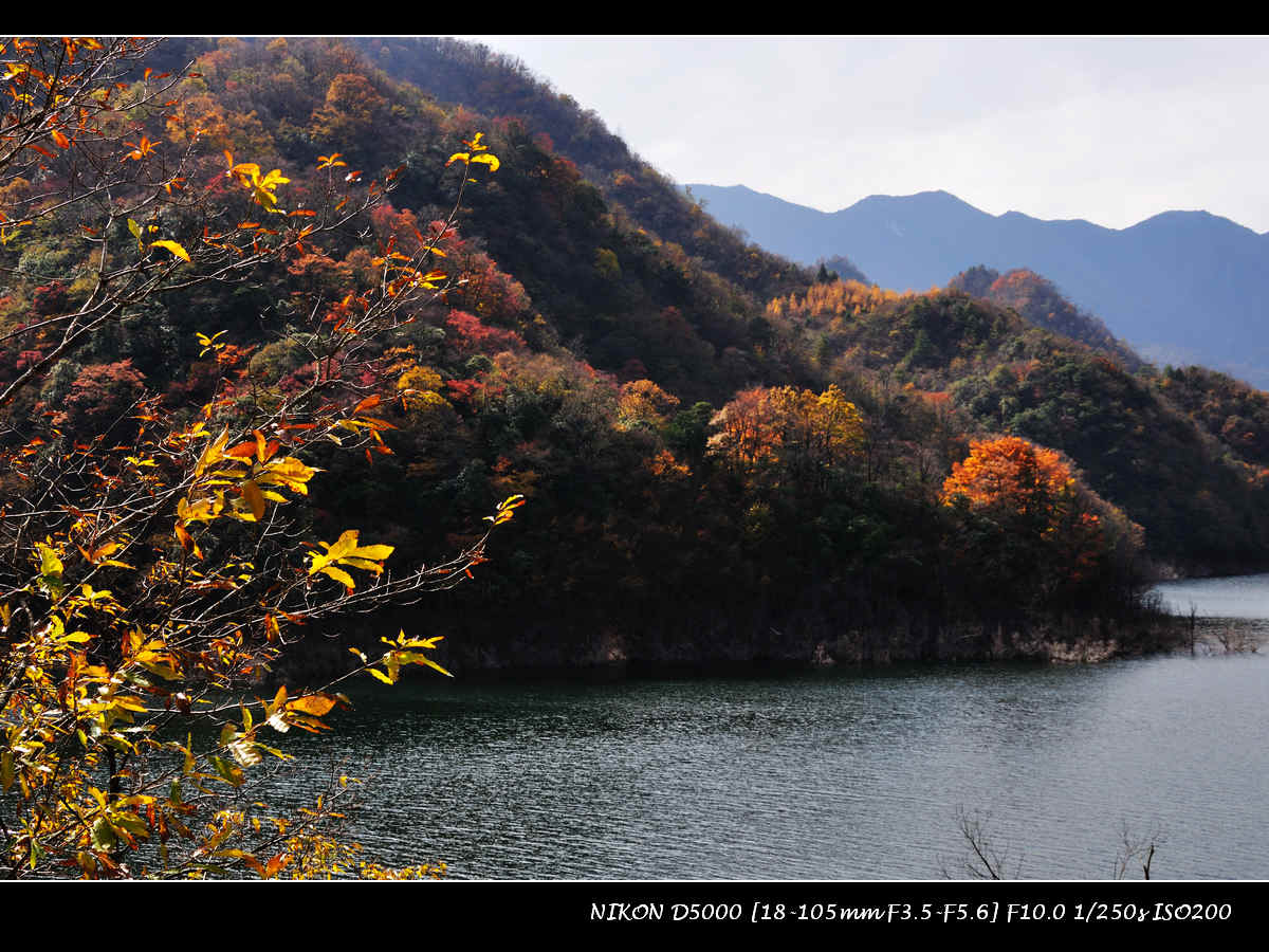 dsc_0370.jpg
