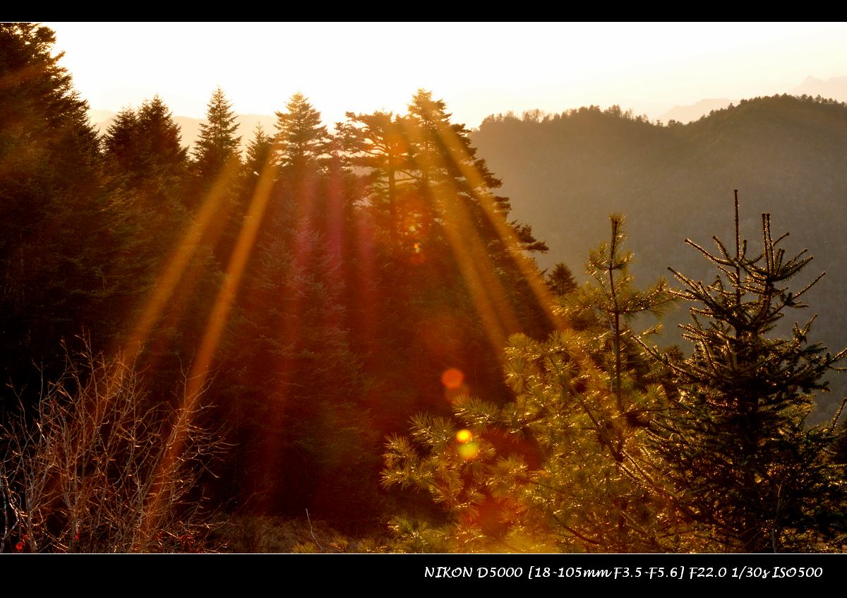dsc_0040.jpg