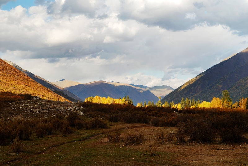 dsc_0763582.jpg