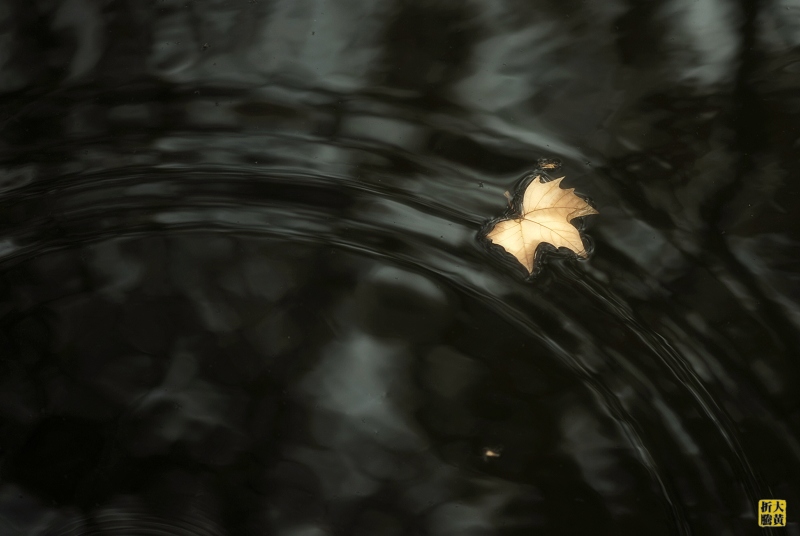 dsc_0180+1.jpg
