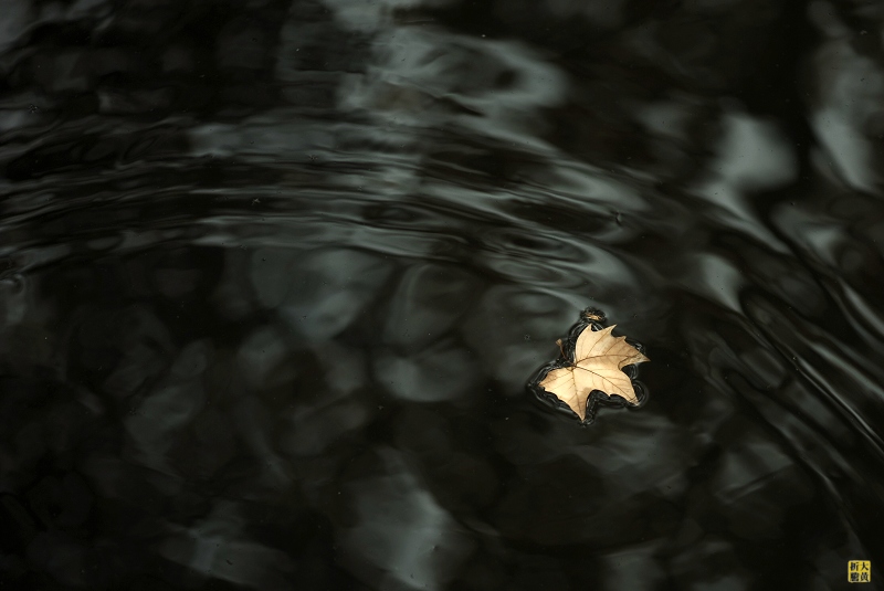 dsc_0183+1.jpg