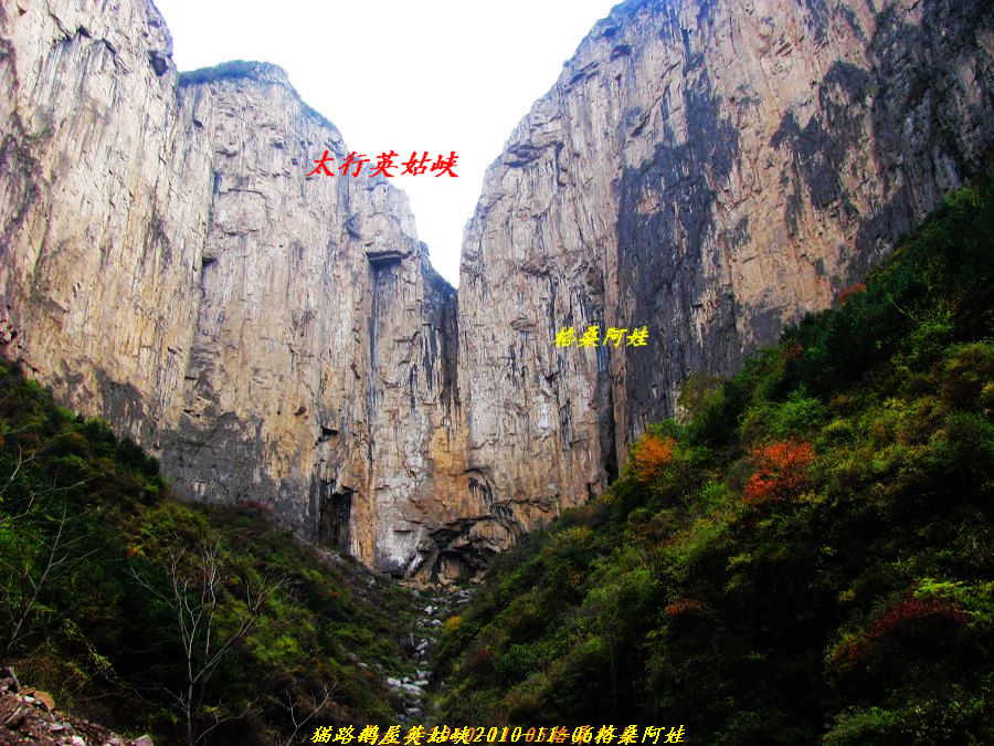  875.jpg