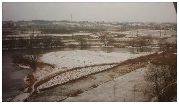 dsci0031.jpg