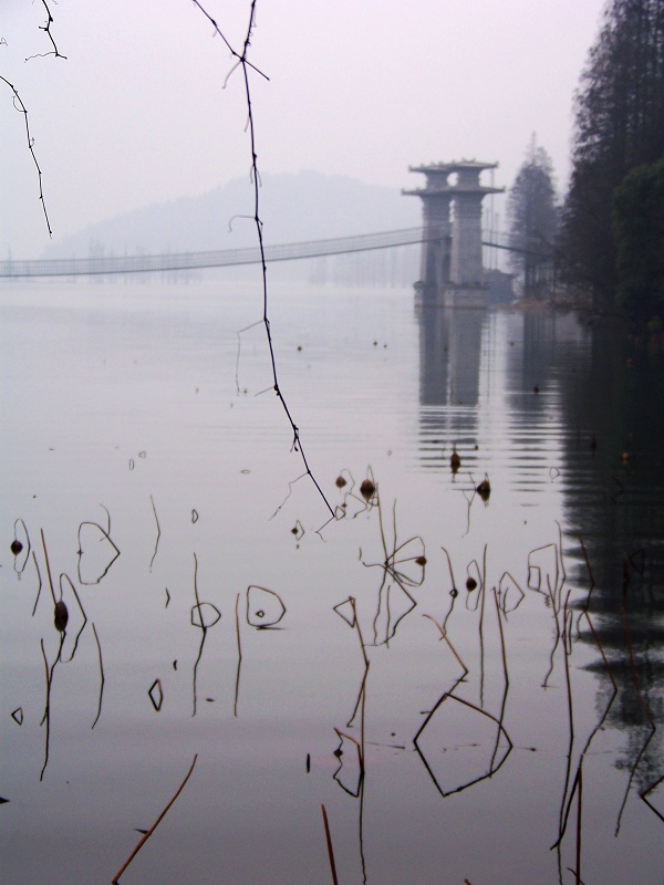 100_2765.jpg