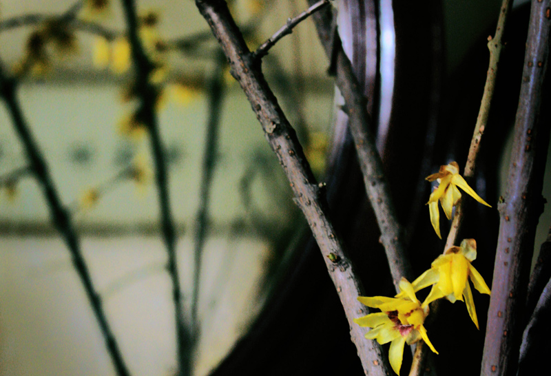 Ƭ 0821.jpg