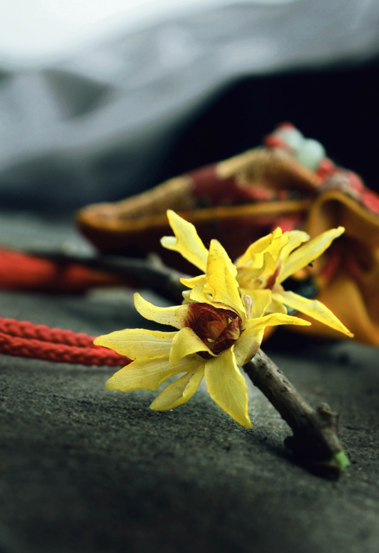 Ƭ 099.jpg