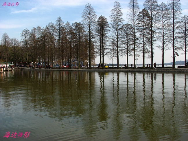 neo_img_img_7828.jpg
