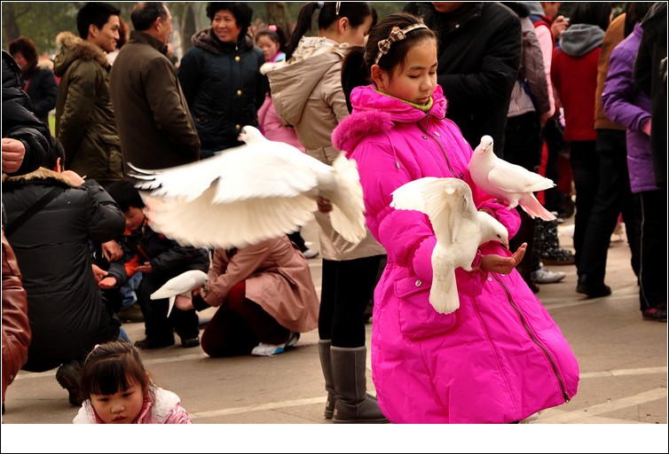 neo_img_dsc_0617.jpg