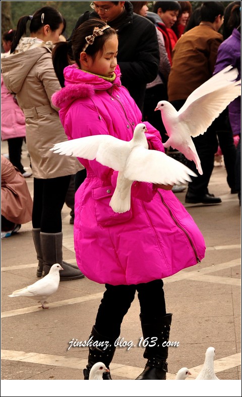 neo_img_dsc_0616.jpg