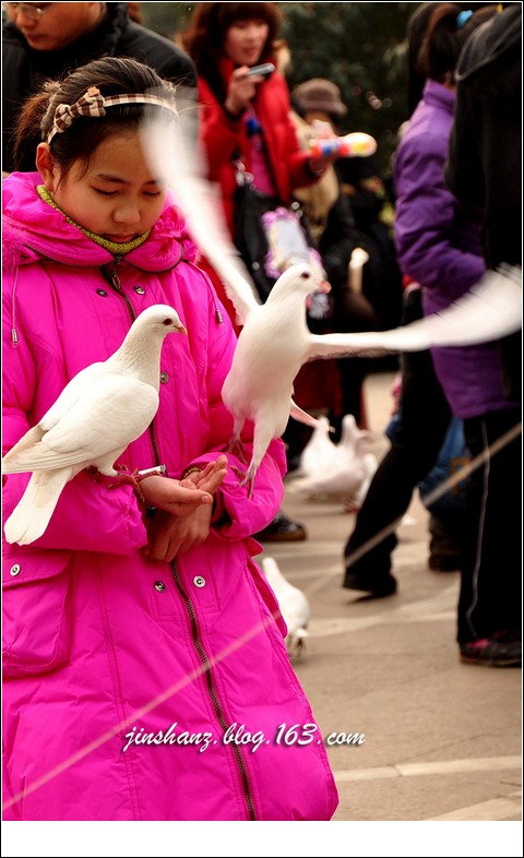 neo_img_dsc_0621.jpg