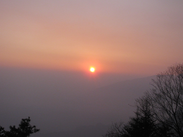 Ƭ 021.jpg