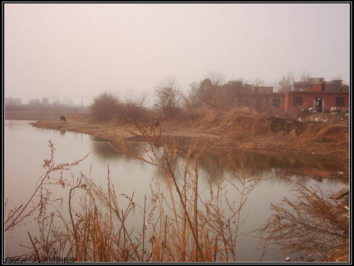 dsci0024.jpg