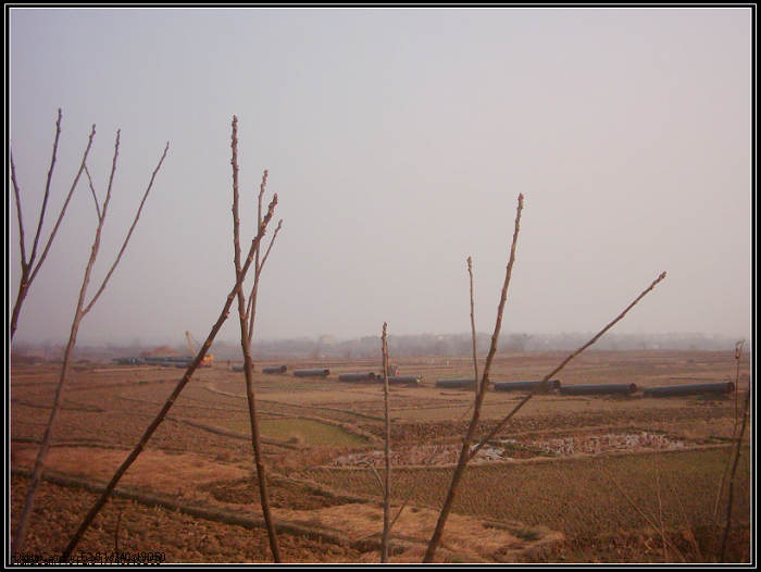 dsci0025.jpg