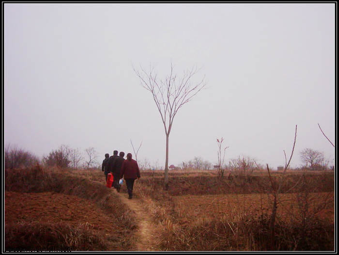 dsci0074.jpg