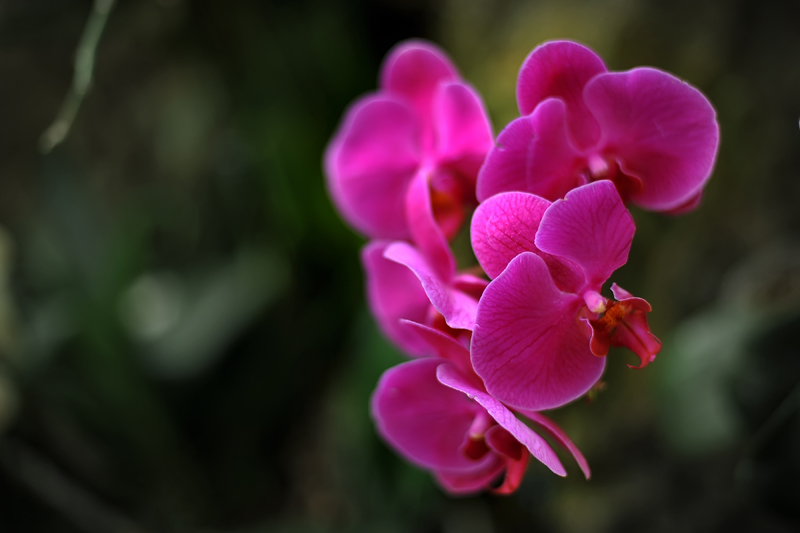 Ƭ 031.jpg
