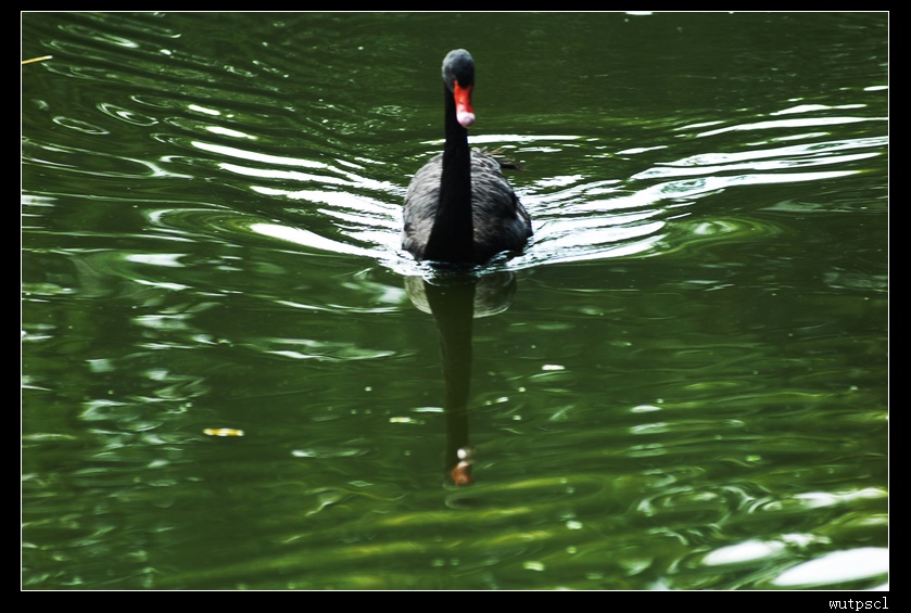 dsc_4778.jpg