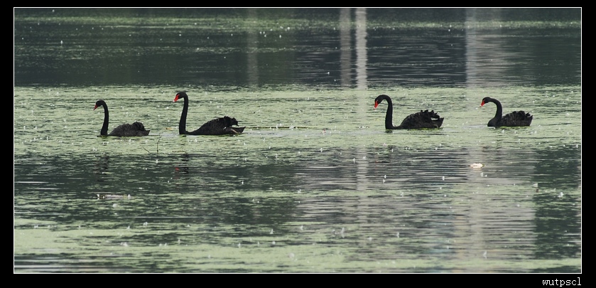 dsc_4720.jpg