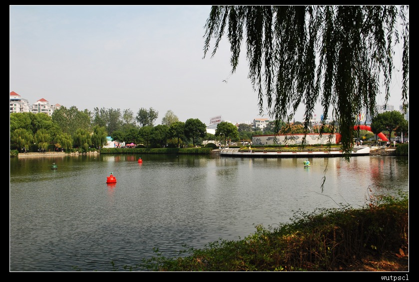 dsc_4526.jpg